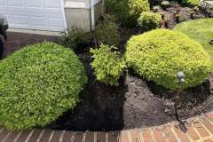 Mulch-Beds-1-July-15