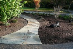Bowie Landscape Design