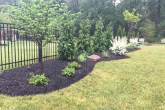 Edgewater Landscaping Design